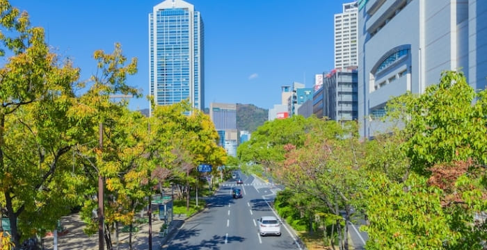 沿革